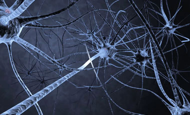 Красноярские учёные создают аналог нервной ткани