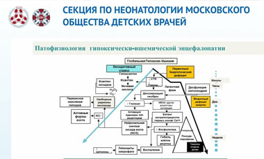 Секция по неонатологии Московского общества детских врачей